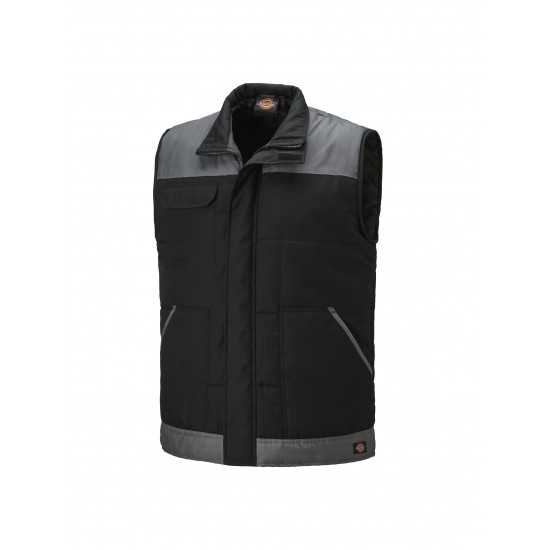 Bodywarmer Dickies Everyday M Bgy 